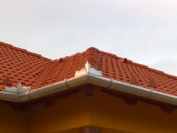 11082456_1078589378829259_6906471487009339168_o